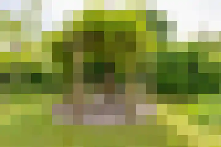 Acacialaan 13 Doetinchem thumbnail 52