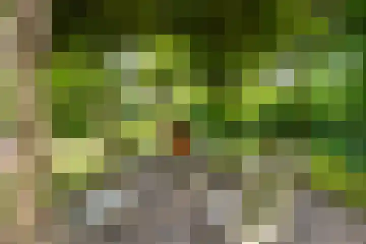 Acacialaan 13 Doetinchem thumbnail 53