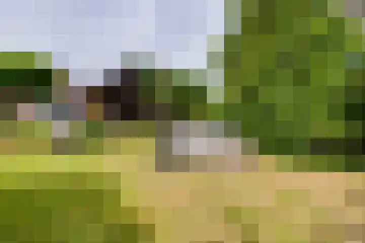 Acacialaan 13 Doetinchem thumbnail 54