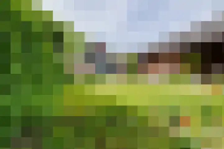 Acacialaan 13 Doetinchem thumbnail 56