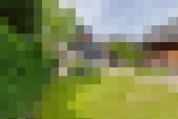 Acacialaan 13 Doetinchem thumbnail 57