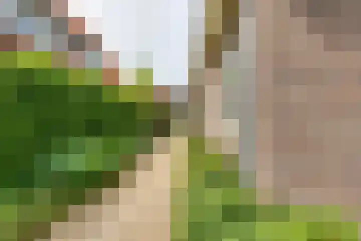 Acacialaan 13 Doetinchem thumbnail 58