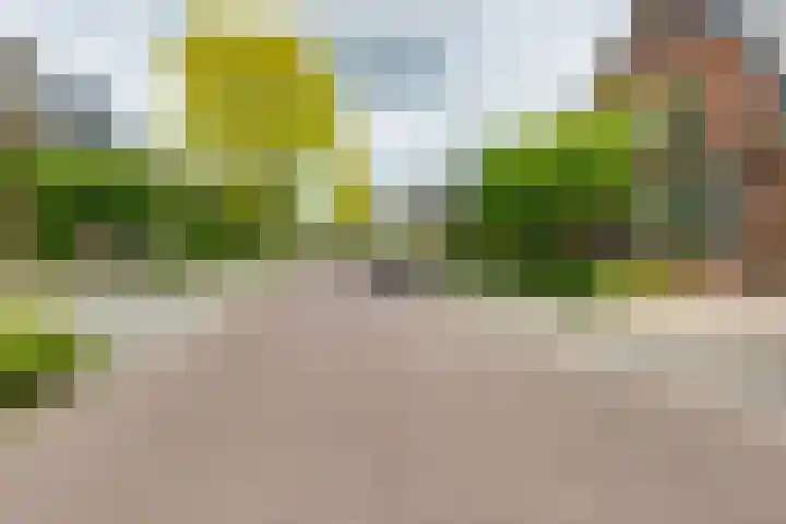 Acacialaan 13 Doetinchem thumbnail 59
