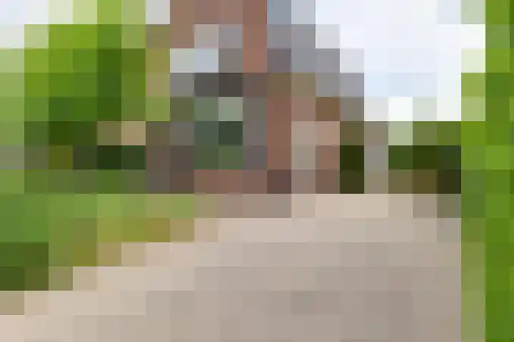 Acacialaan 13 Doetinchem thumbnail 6