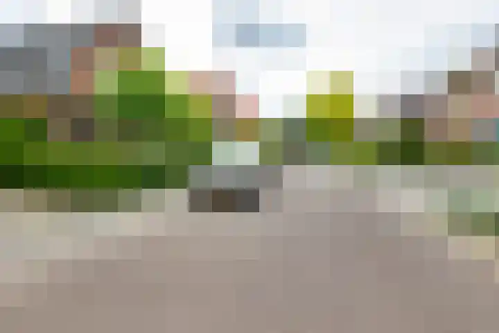 Acacialaan 13 Doetinchem thumbnail 60