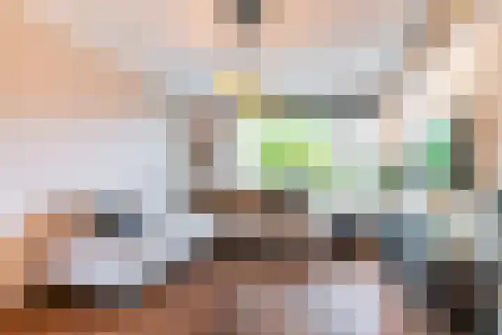 Acacialaan 13 Rijswijk thumbnail 11