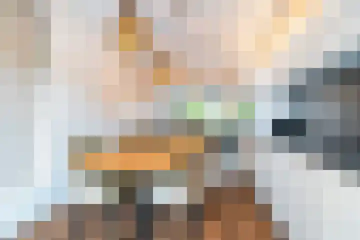 Acacialaan 13 Rijswijk thumbnail 17