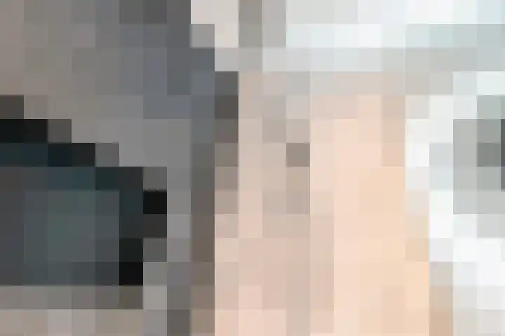 Acacialaan 13 Rijswijk thumbnail 24