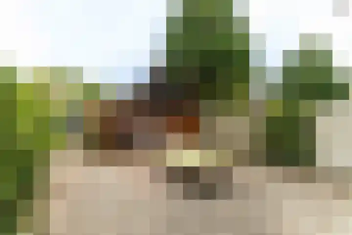 Acacialaan 13 Rijswijk thumbnail 25