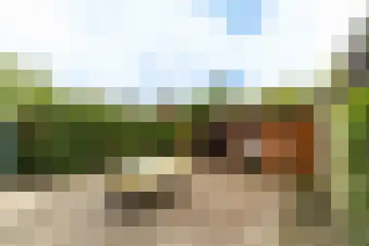 Acacialaan 13 Rijswijk thumbnail 27