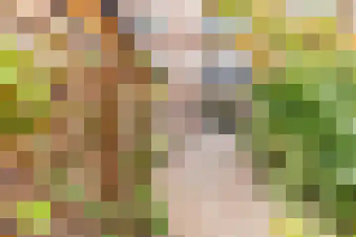 Acacialaan 13 Rijswijk thumbnail 31