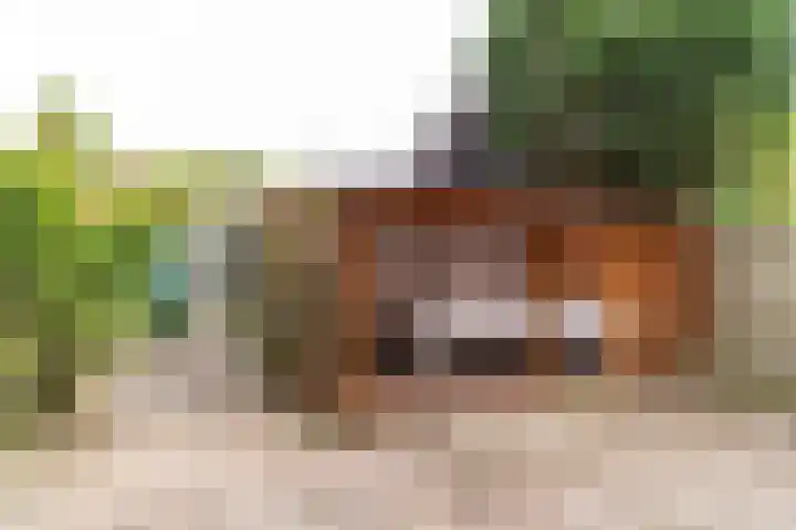 Acacialaan 13 Rijswijk thumbnail 32