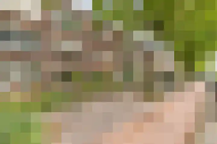 Acacialaan 13 Rijswijk thumbnail 35