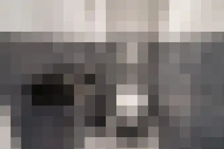Acacialaan 13 Rijswijk thumbnail 7