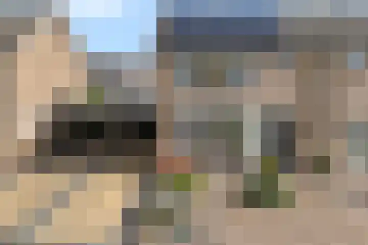 Acacialaan 13 Wierden thumbnail 41