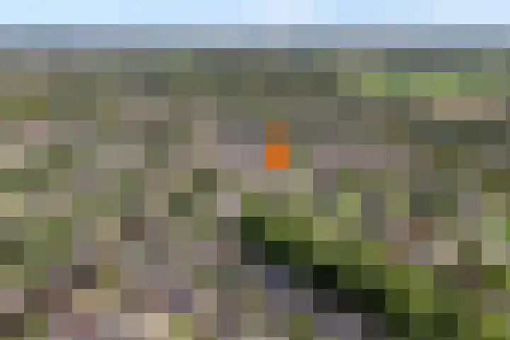 Acacialaan 13 Wierden thumbnail 42