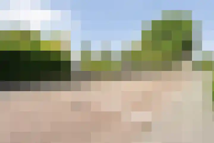 Acacialaan 13 Wierden thumbnail 43
