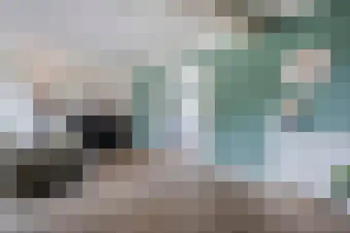 Acacialaan 13 Wierden thumbnail 5