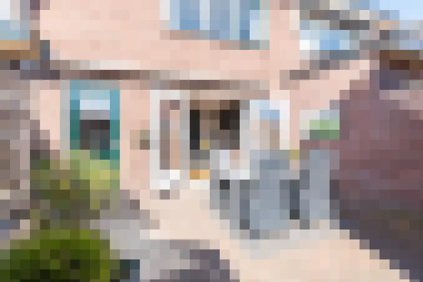 Acacialaan 132 Doetinchem thumbnail 33