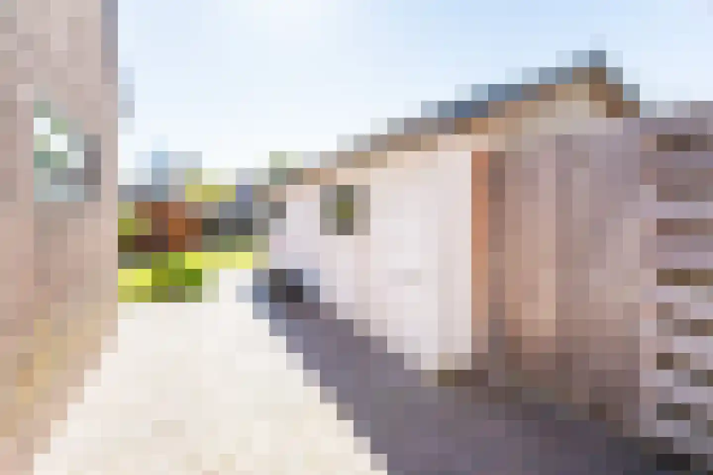 Acacialaan 132 Doetinchem thumbnail 35