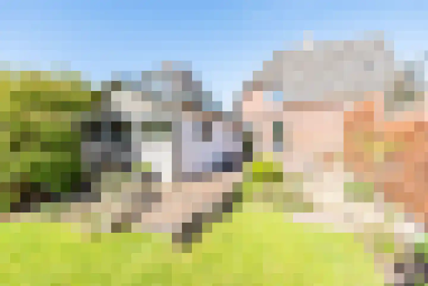 Acacialaan 132 Doetinchem thumbnail 39
