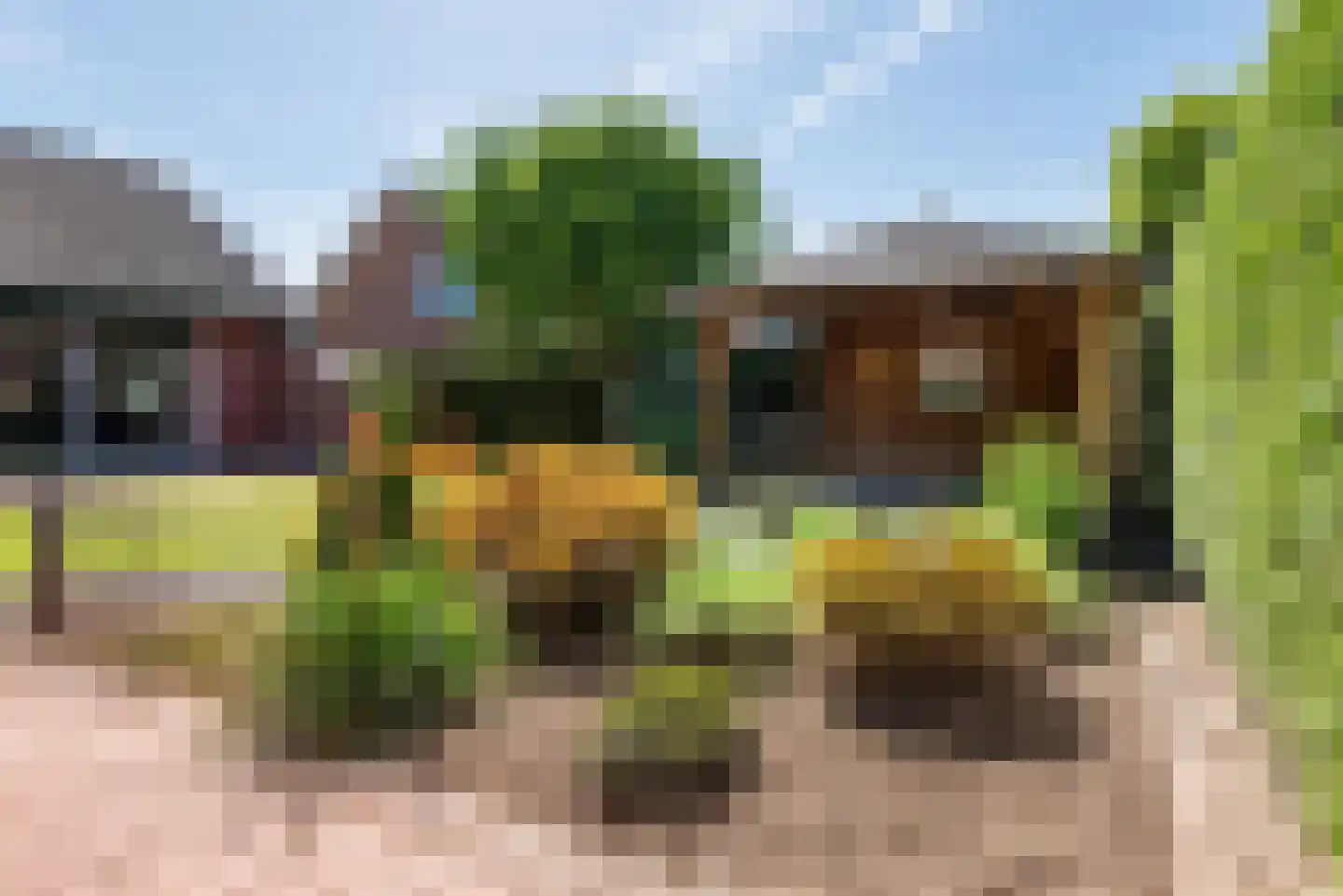 Acacialaan 14 Netterden thumbnail 31