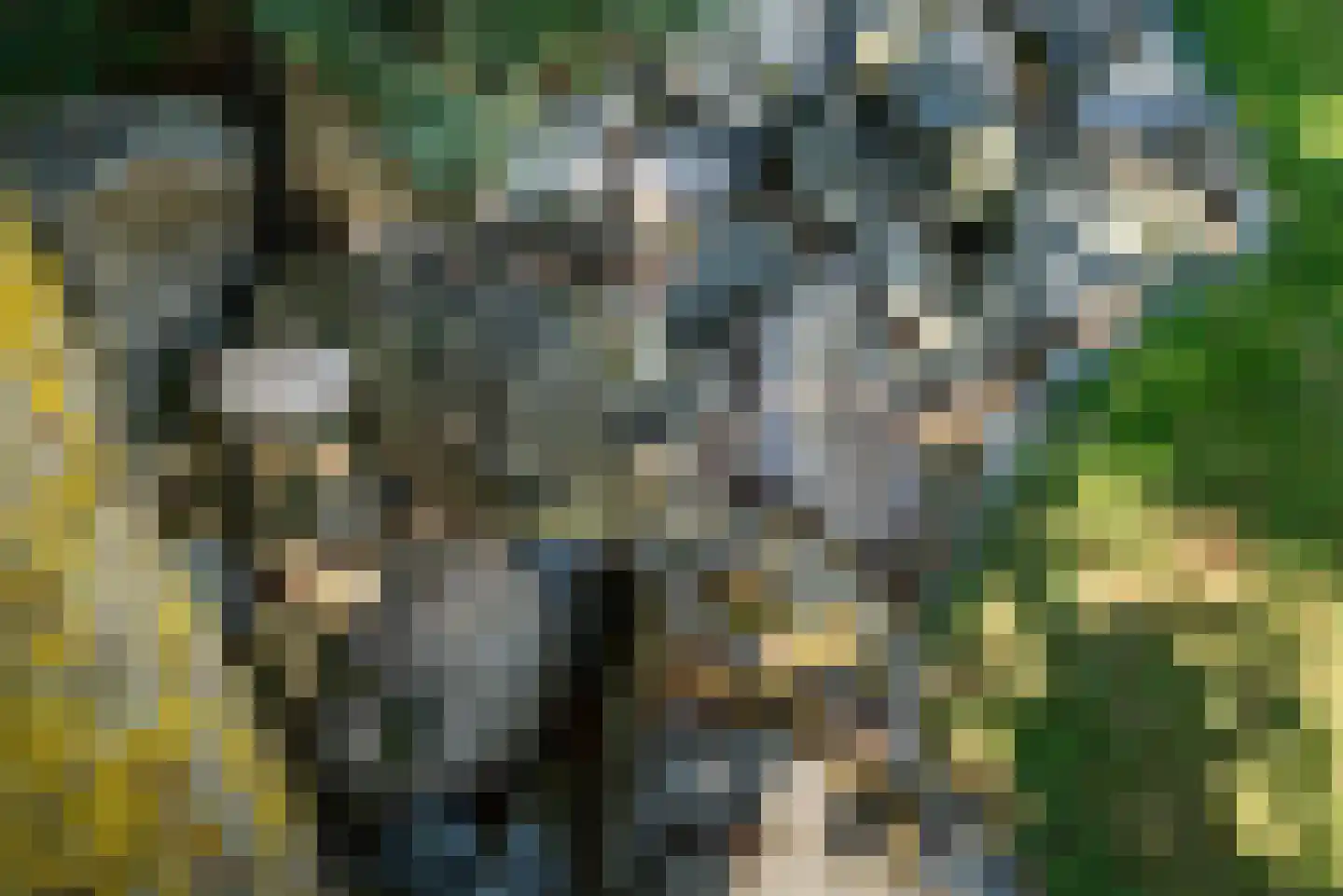 Acacialaan 14 Netterden thumbnail 33