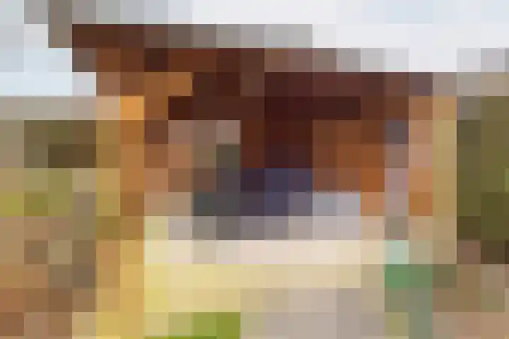 Acacialaan 14 Netterden thumbnail 36