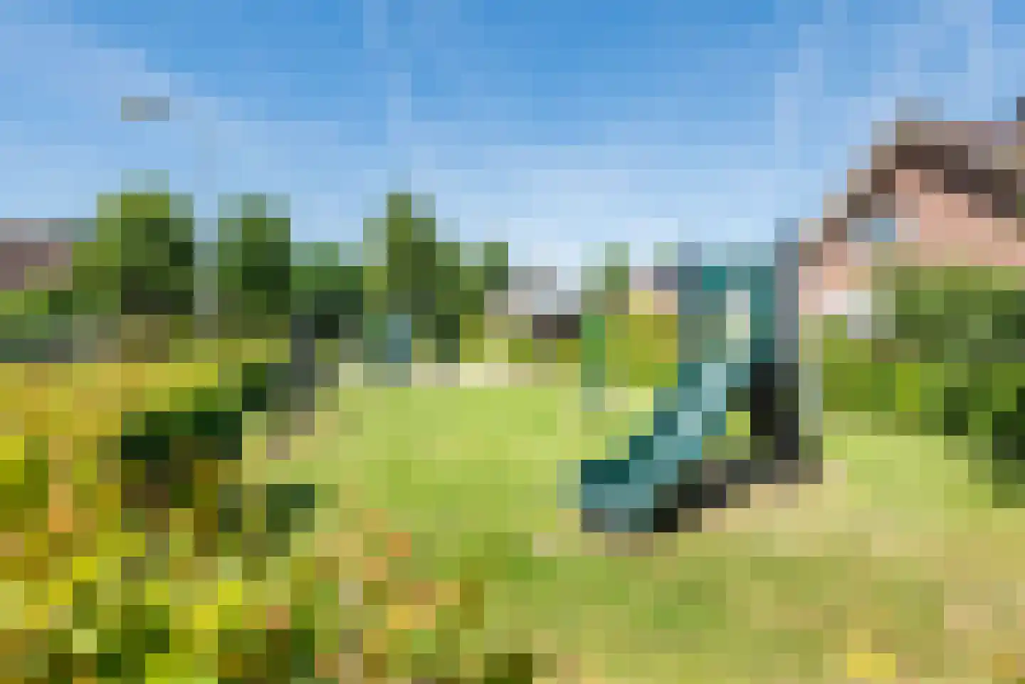 Acacialaan 14 Netterden thumbnail 39