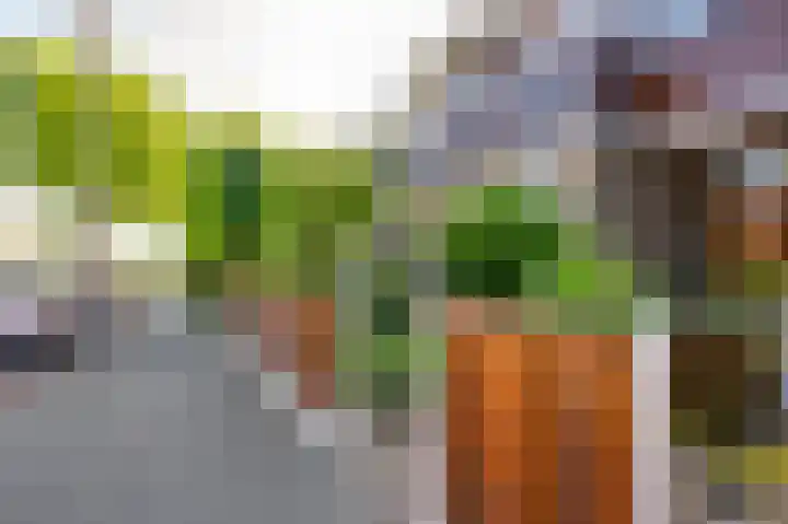Acacialaan 14 Rozenburg thumbnail 11