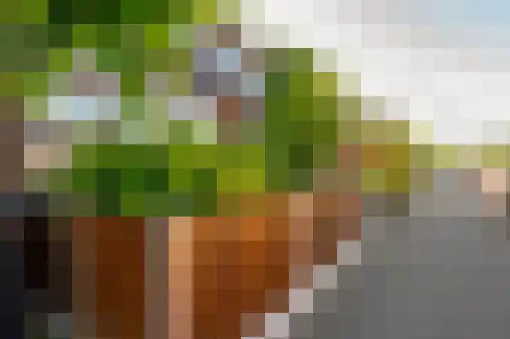 Acacialaan 14 Rozenburg thumbnail 12