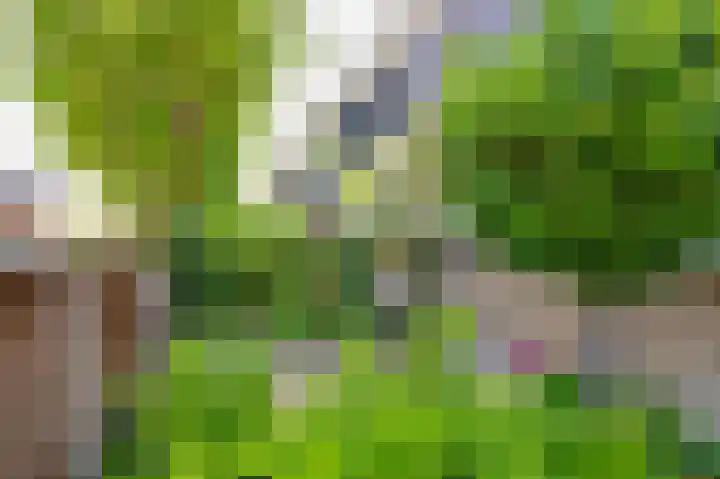 Acacialaan 14 Rozenburg thumbnail 13