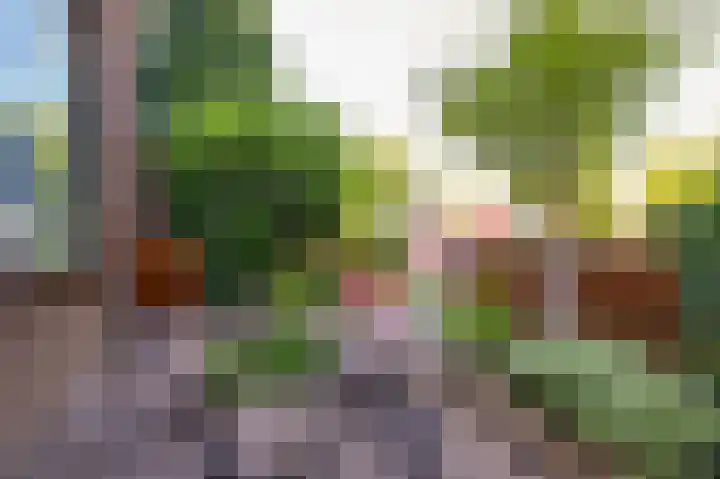 Acacialaan 14 Rozenburg thumbnail 14