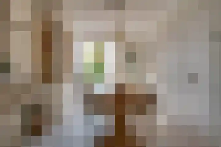 Acacialaan 14 Rozenburg thumbnail 20
