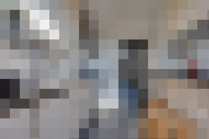 Acacialaan 14 Rozenburg thumbnail 22