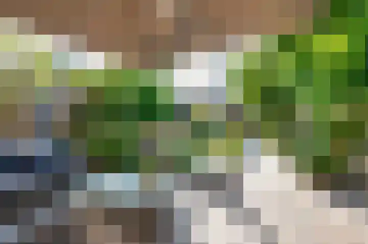 Acacialaan 14 Rozenburg thumbnail 23