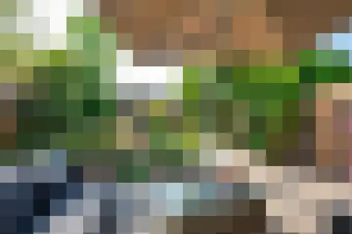 Acacialaan 14 Rozenburg thumbnail 24