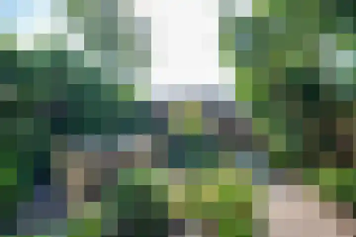 Acacialaan 14 Rozenburg thumbnail 25