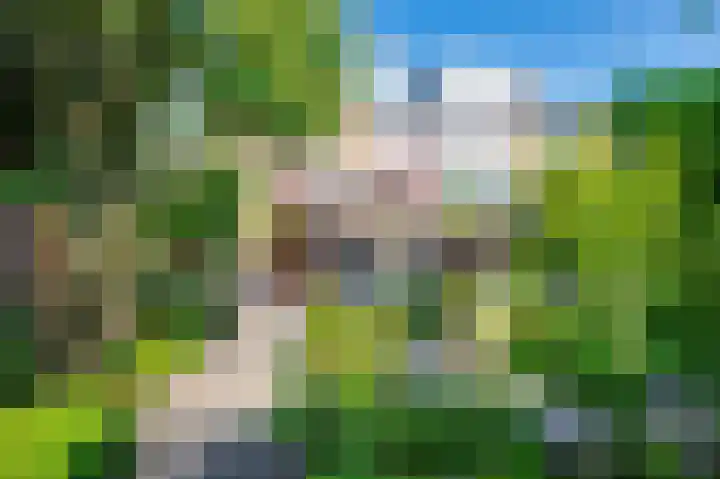 Acacialaan 14 Rozenburg thumbnail 26