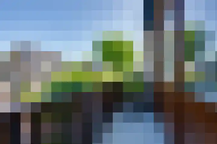 Acacialaan 14 Rozenburg thumbnail 32