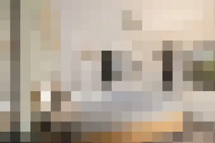 Acacialaan 17 Twello thumbnail 16