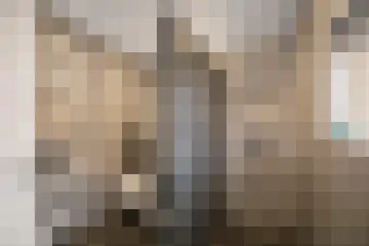 Acacialaan 17 Twello thumbnail 19