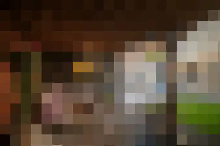 Acacialaan 17 Twello thumbnail 26