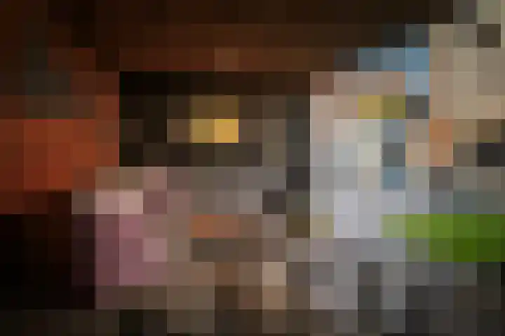Acacialaan 17 Twello thumbnail 27