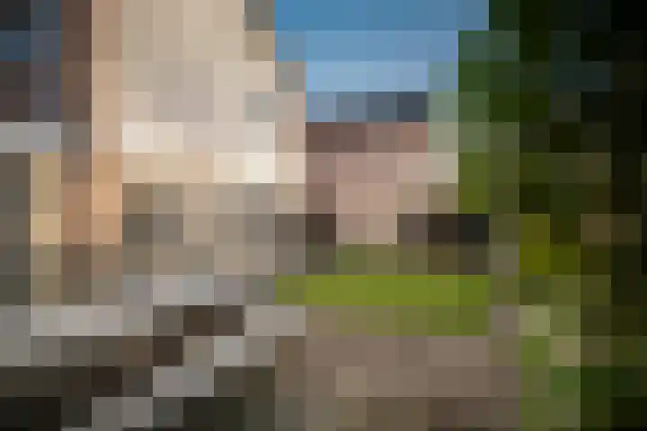 Acacialaan 17 Twello thumbnail 29