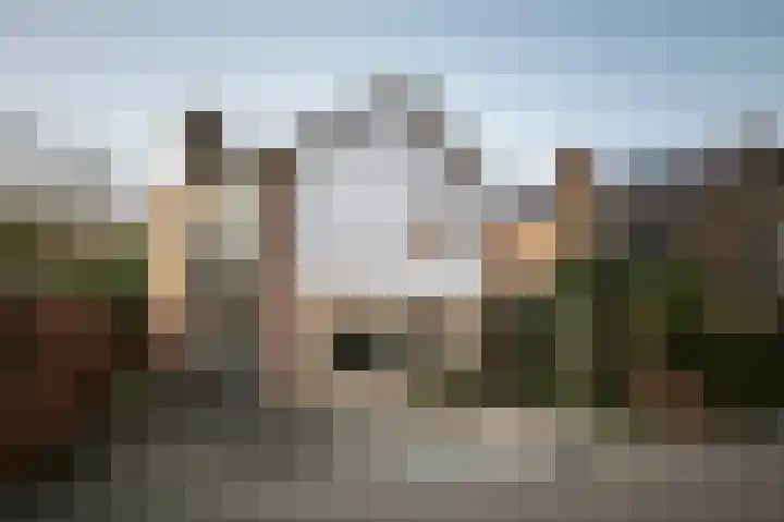 Acacialaan 17 Twello thumbnail 34