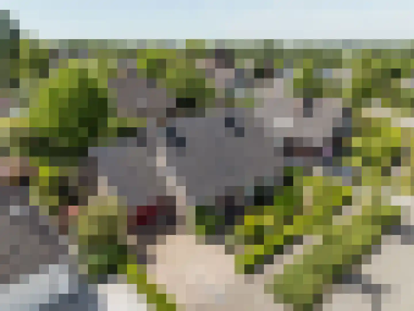 Acacialaan 18 Sleeuwijk thumbnail 4
