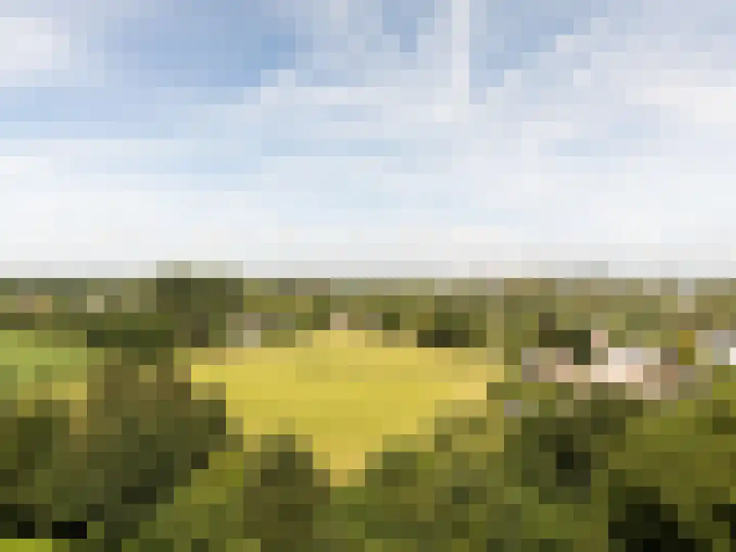 Acacialaan 18 Sleeuwijk thumbnail 64