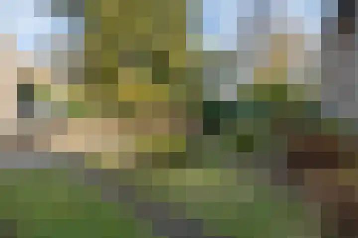 Acacialaan 19 Maarn thumbnail 41