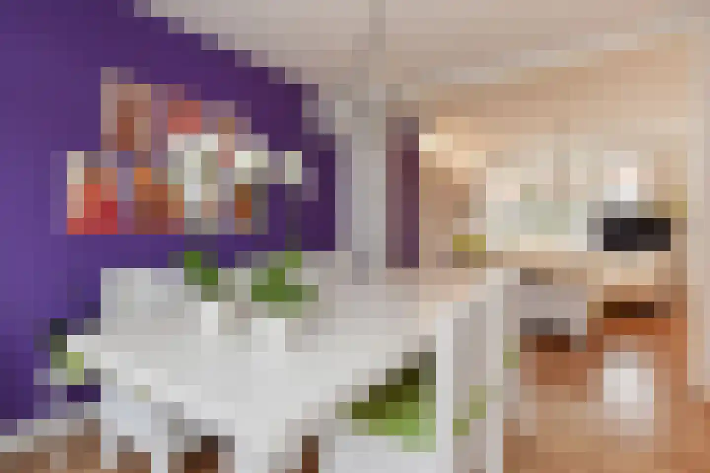 Acacialaan 19 Rijswijk thumbnail 12